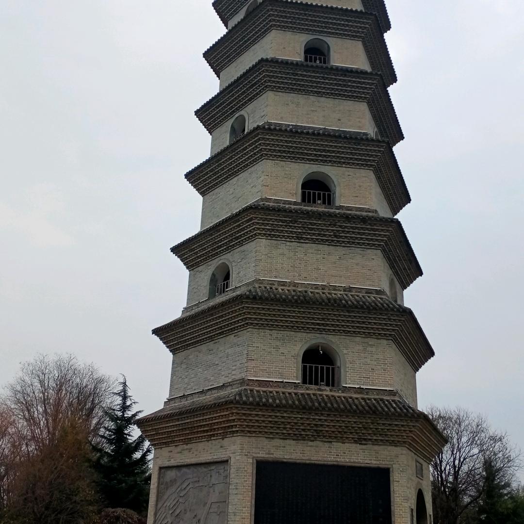 苗苗