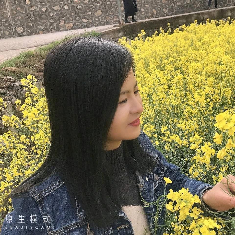 紫蕊