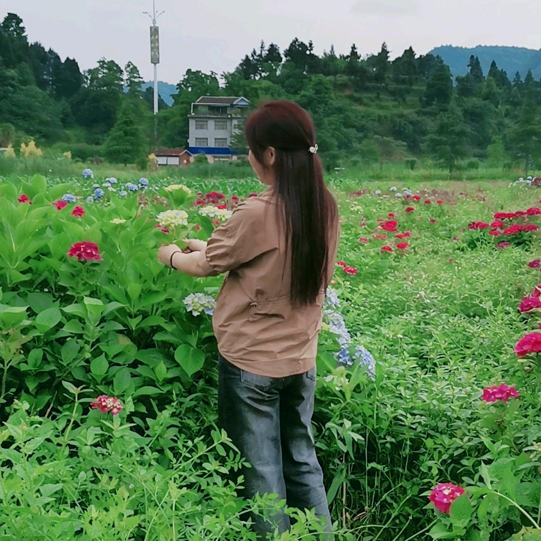 还你一个微笑
