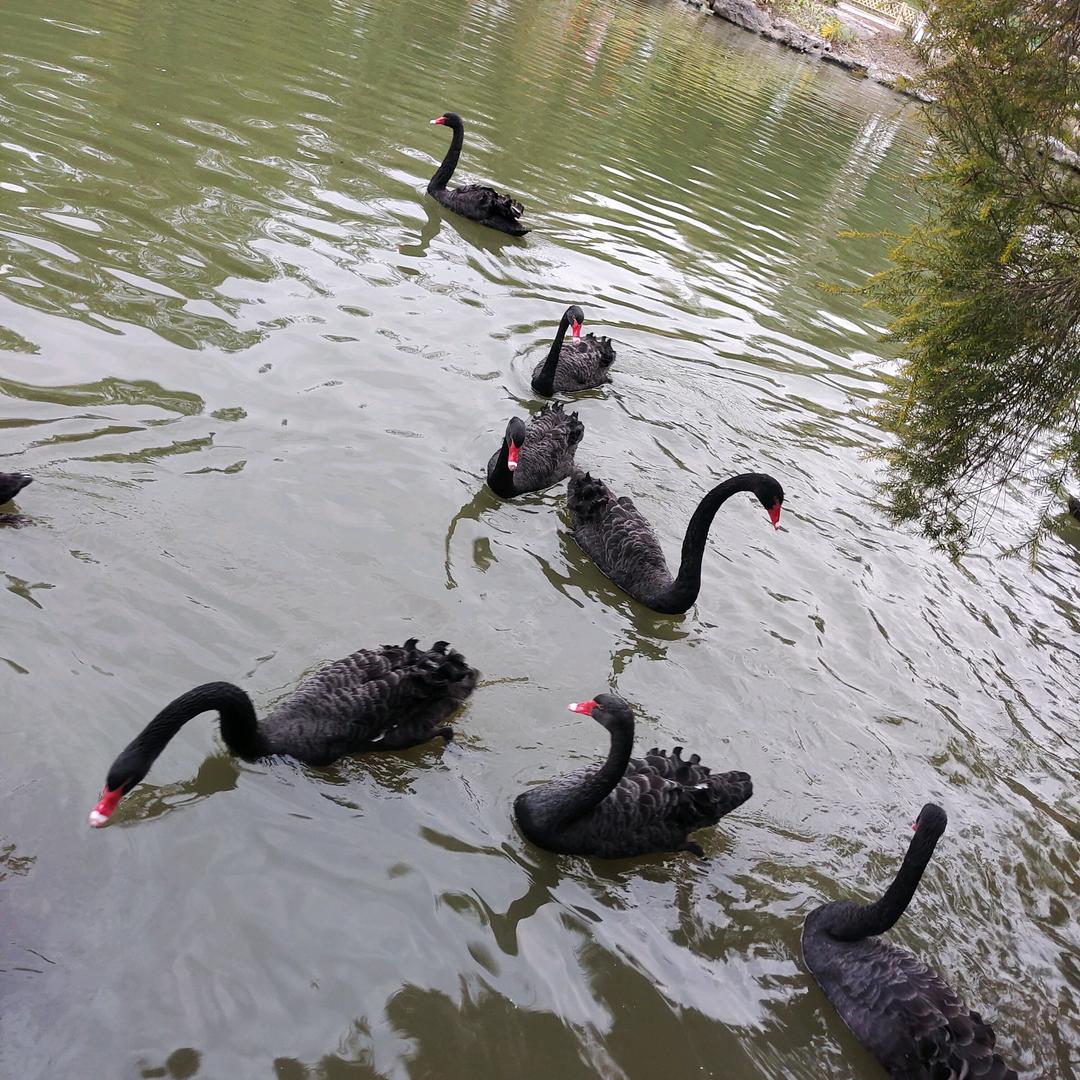 汽修，买卖二手车