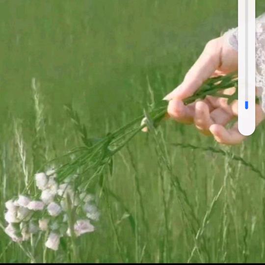 一路顺风