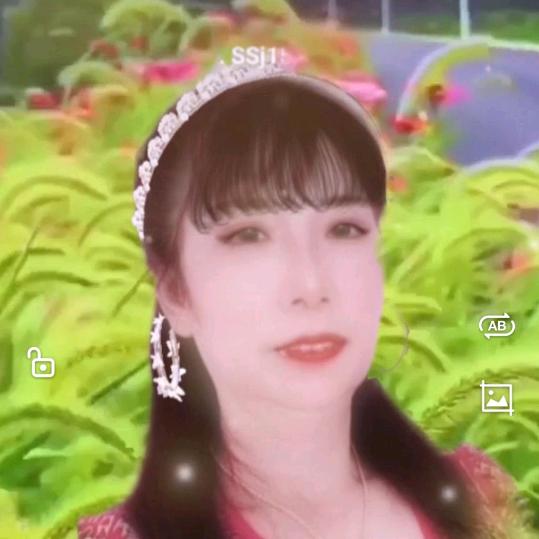 湖南怀化燕子