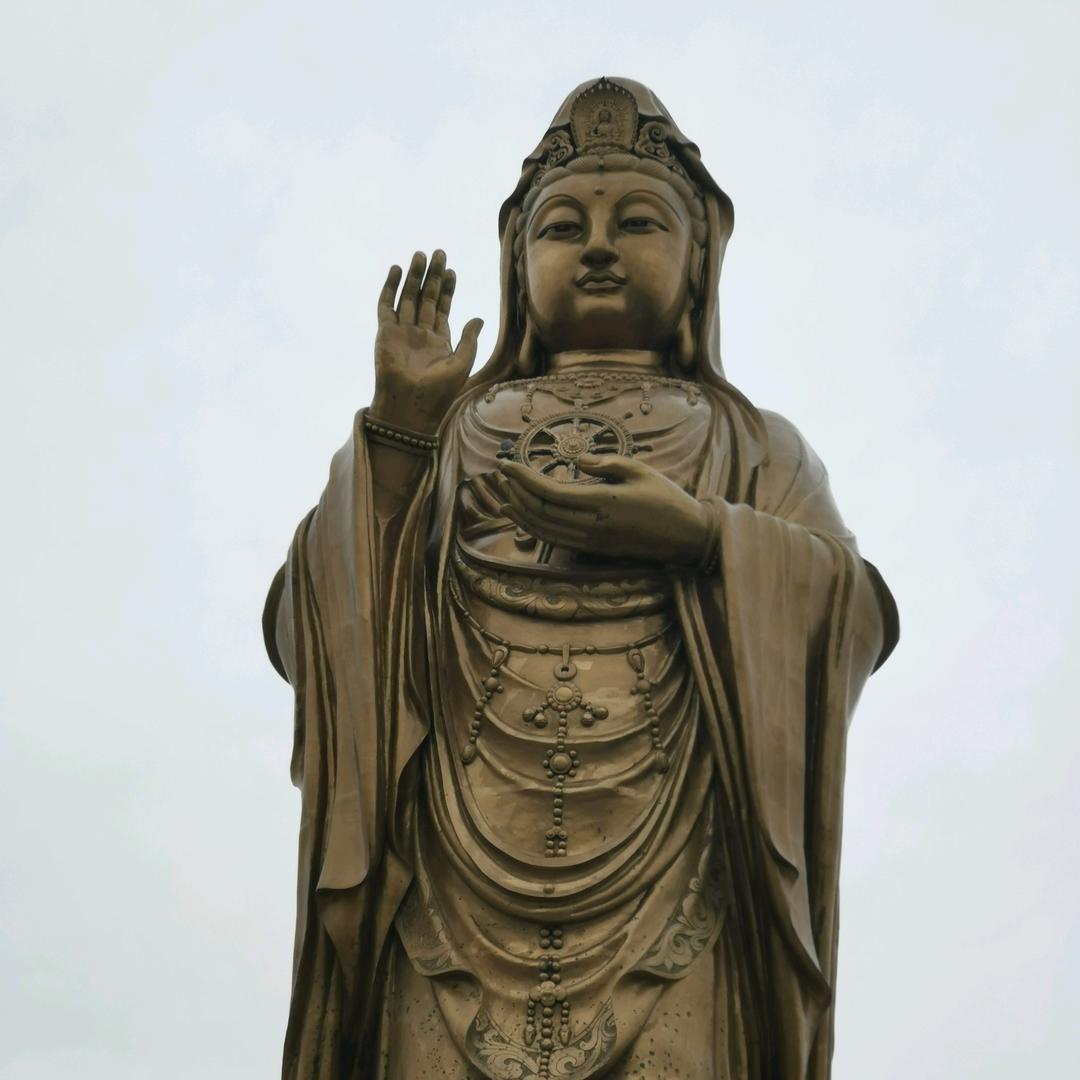 高哥