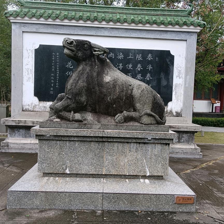 孤独的人