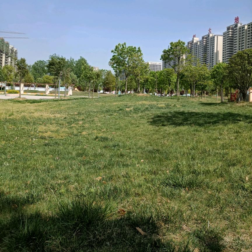 大家好