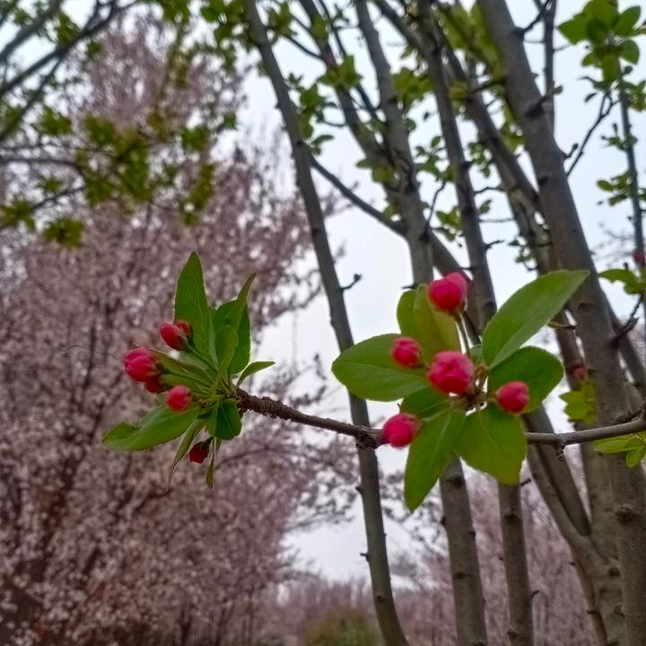 稳稳