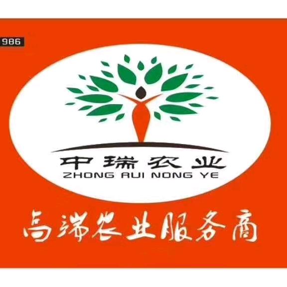 浅沫记忆