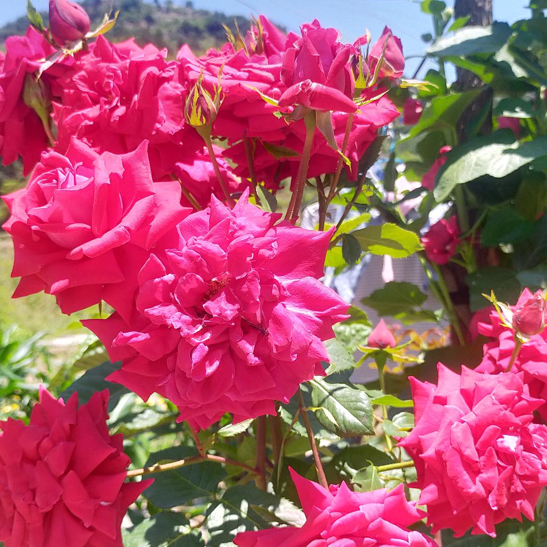 人生如梦幻👗👒👓