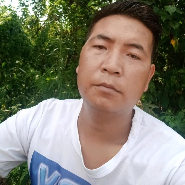 草原上的小马哥