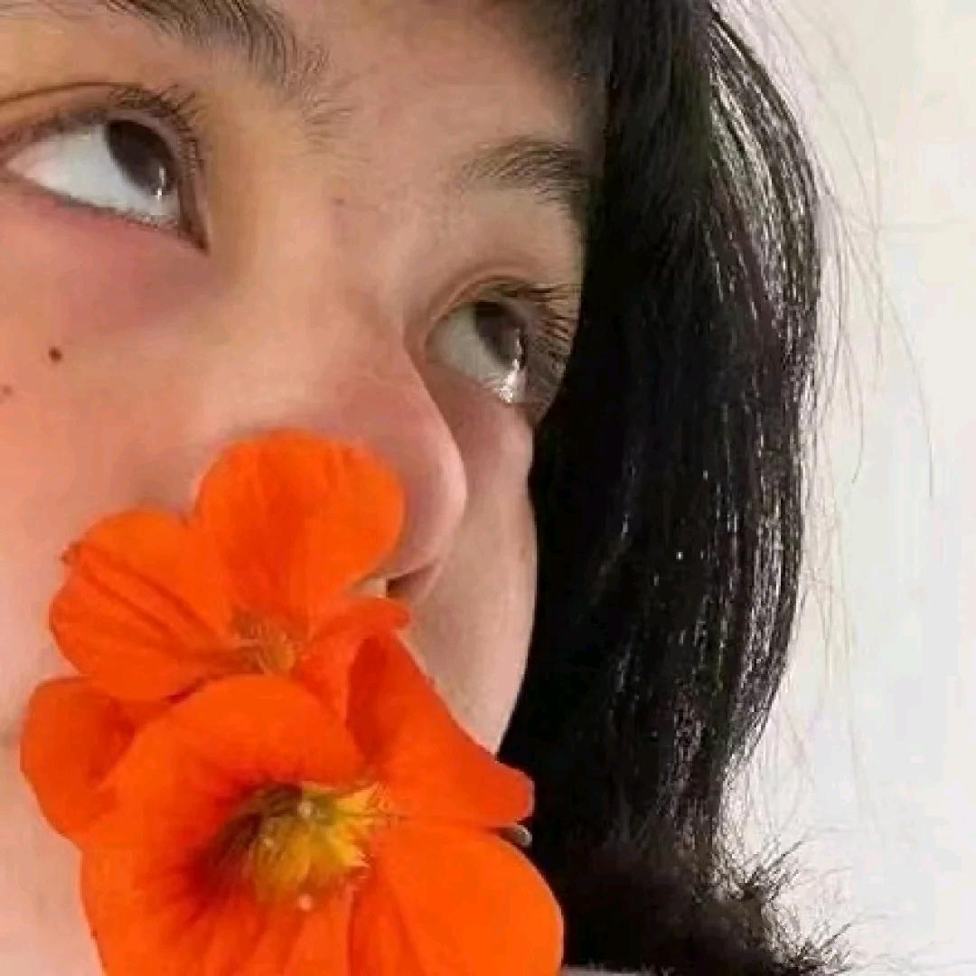 7鹅