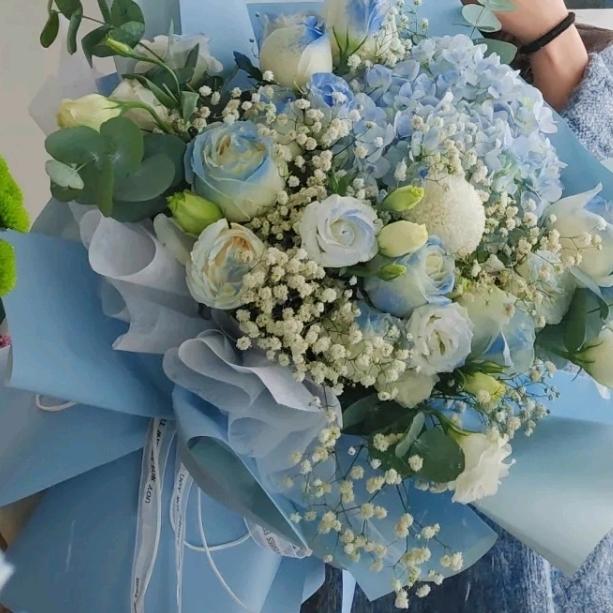 不吃香菜的小🐟