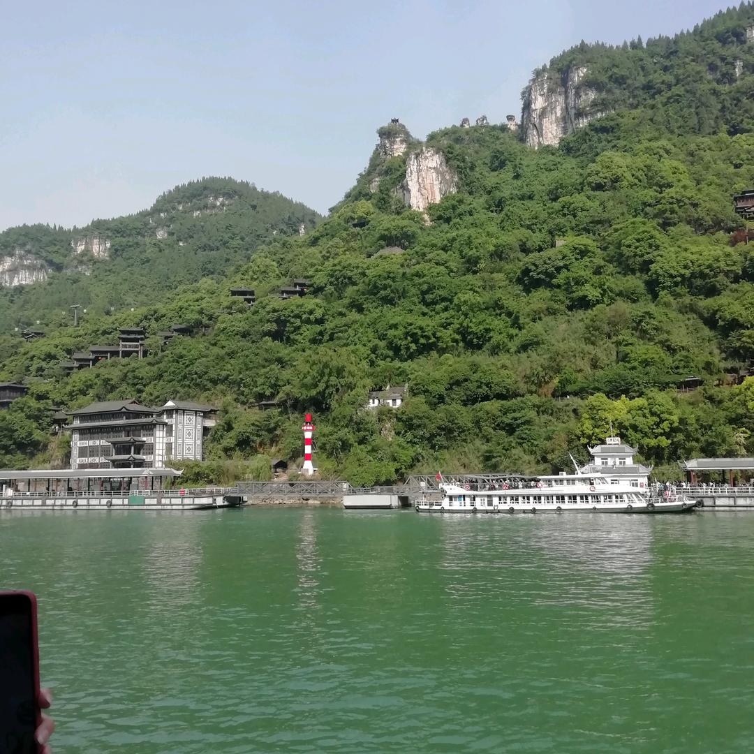 小草