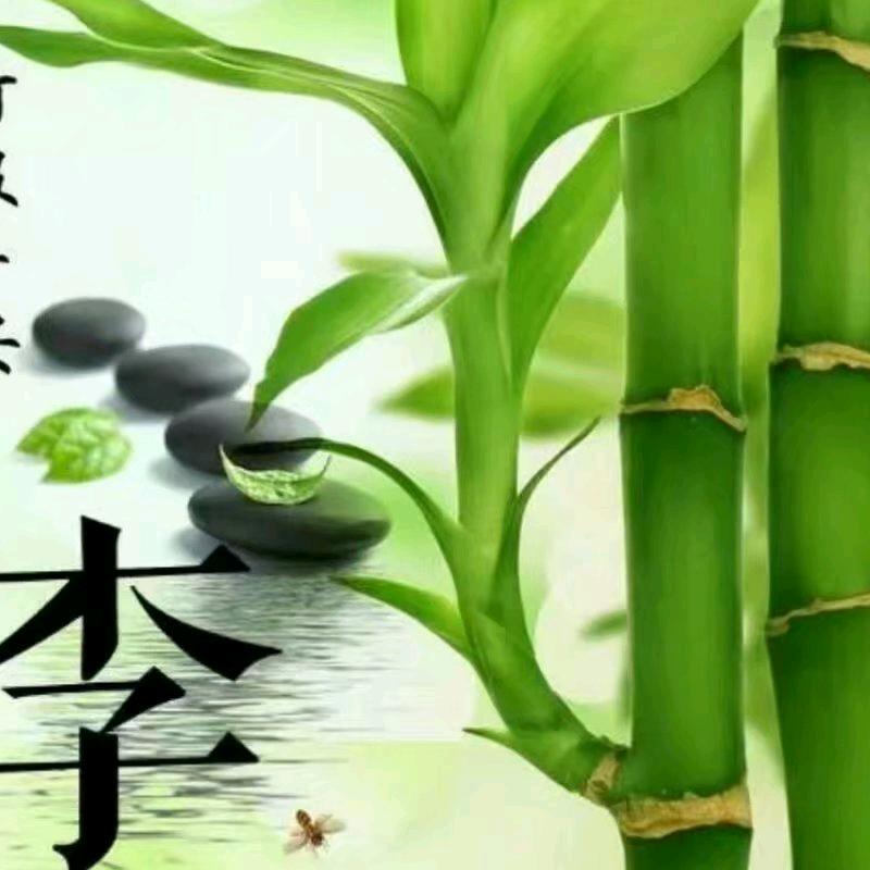 鹏程万里👑