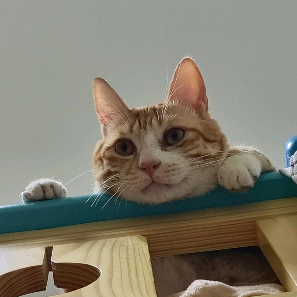 ୧⍤⃝🍓୧⍤⃝🌸୧⍤⃝🍎୧⍤⃝🍉