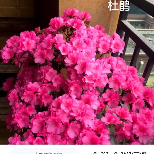 用户5608230161315