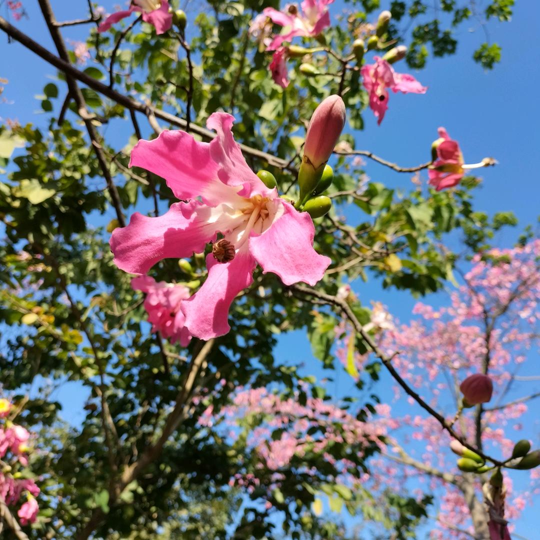 ＿转身一辈子。。拒绝私聊