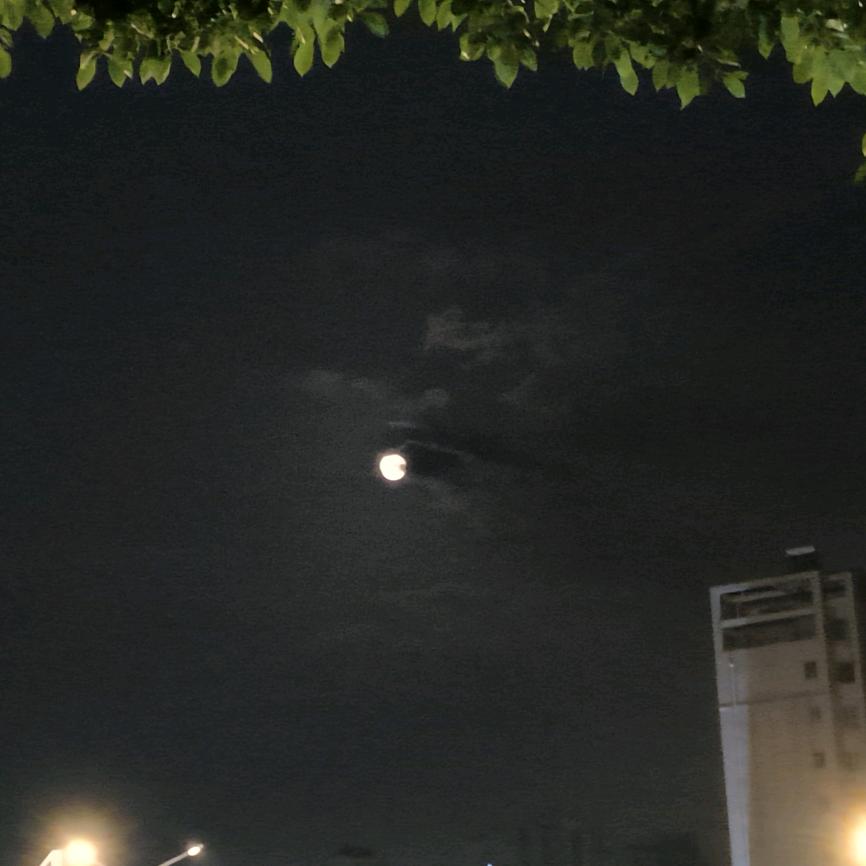 剩一个你