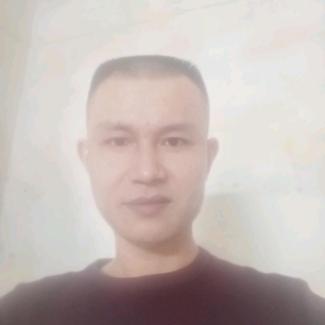 中华蜜蜂（中蜂）