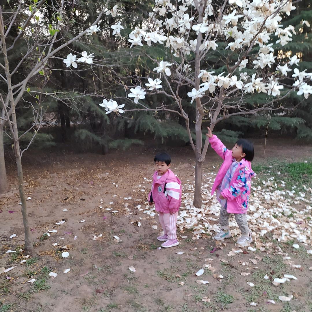 王洪花