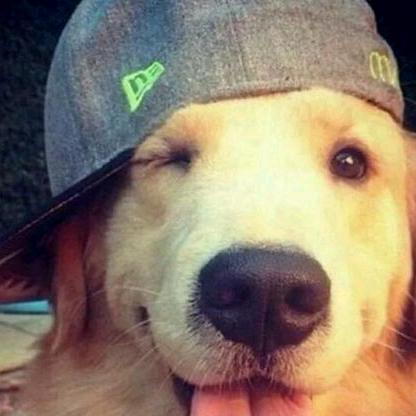 sugar man（慢哥）@抖音