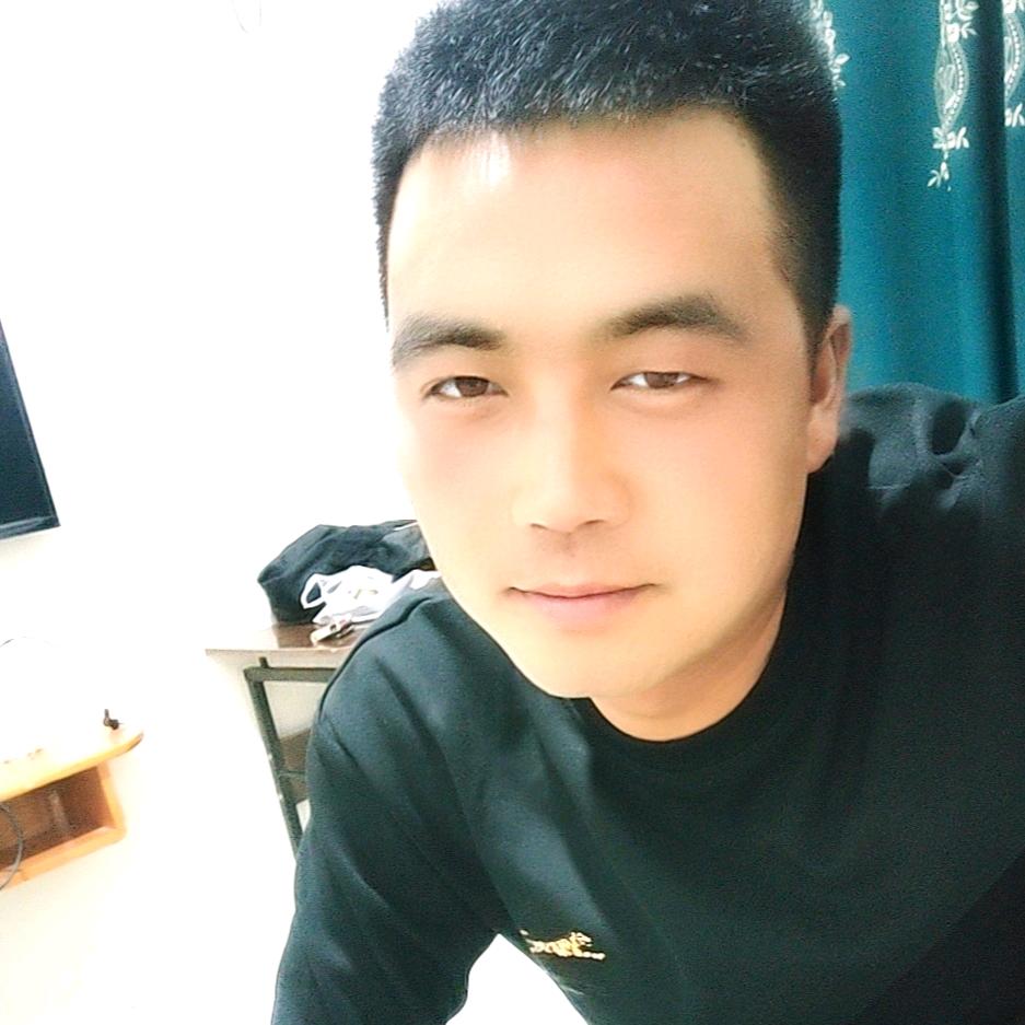 孤傲的狼