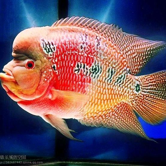 @水沝淼㵘