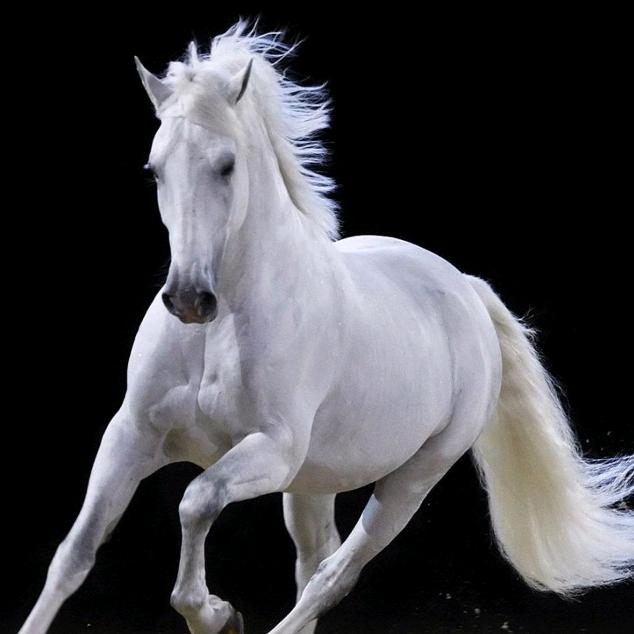 志在远方（男人）