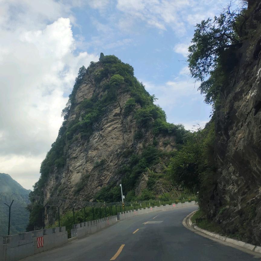 秦农粪肥