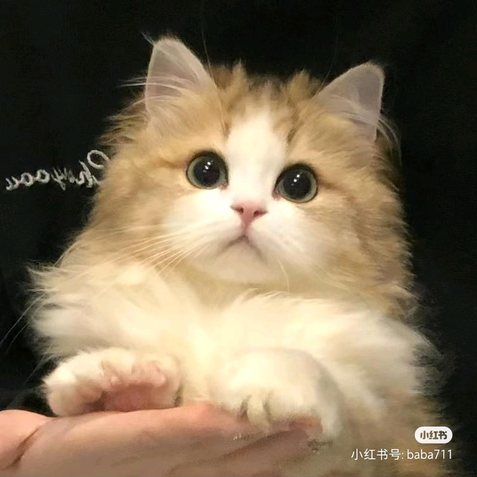 是小槐呀
