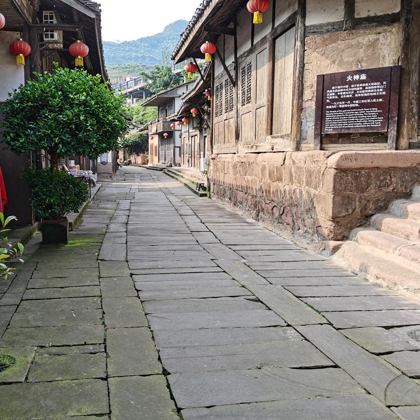 同邹共济