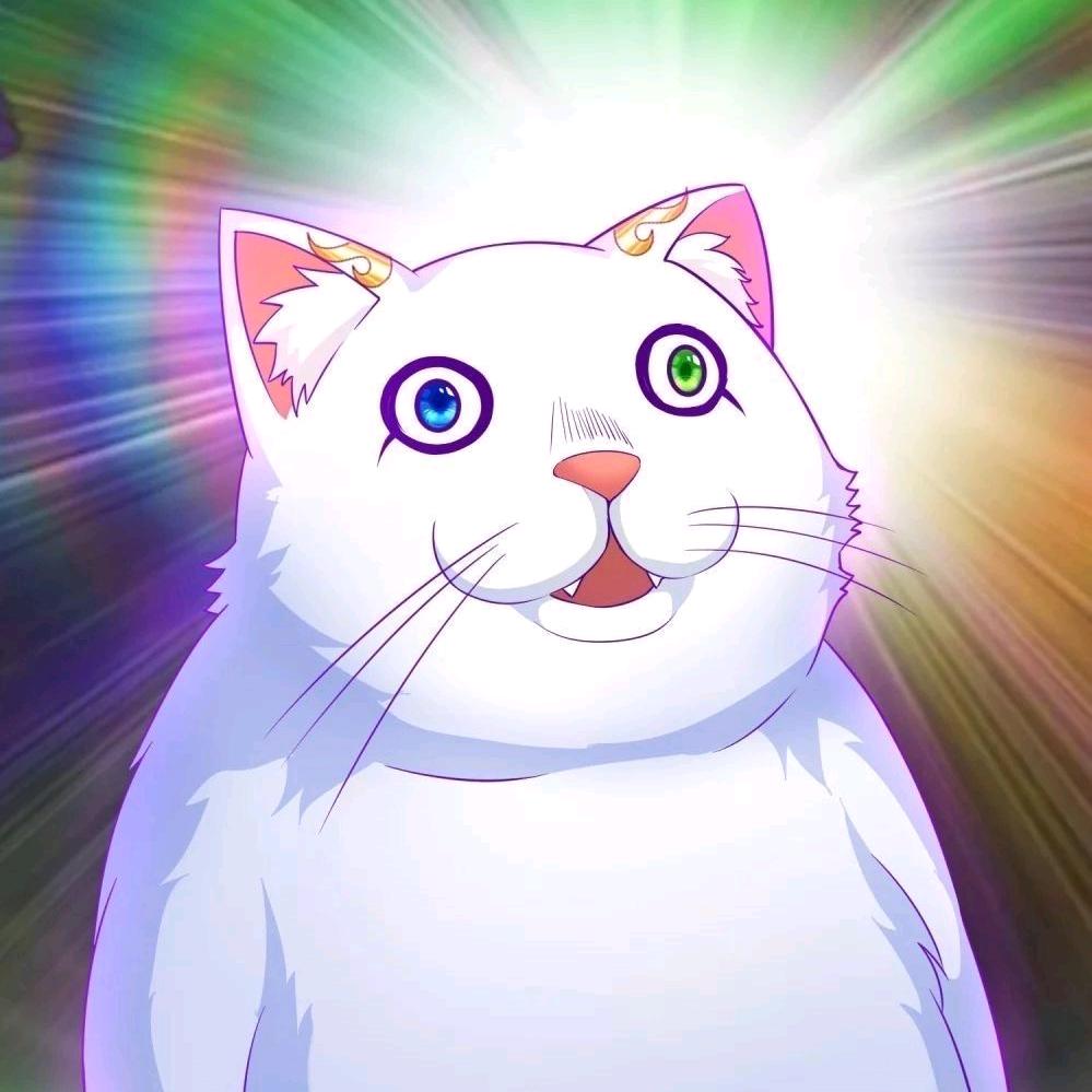 金回（米）