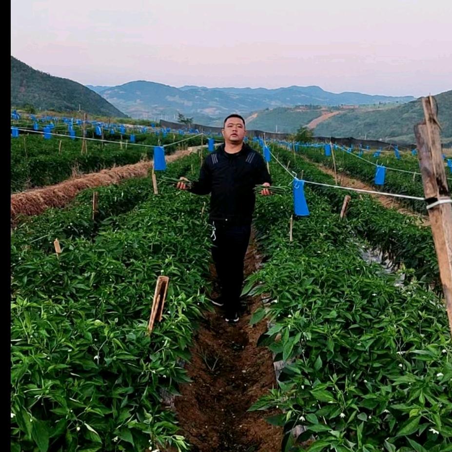 蔬菜小哥.阿华