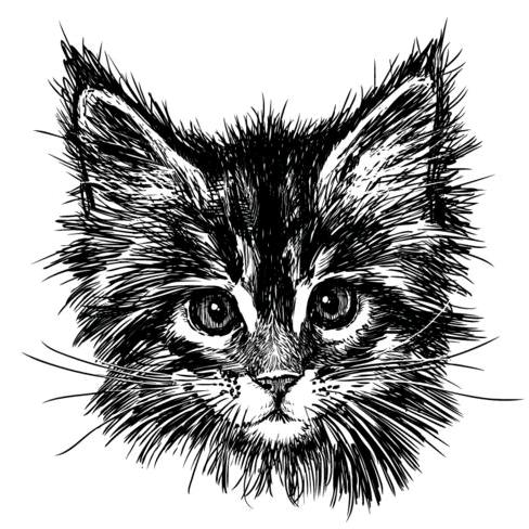 淡了时光凉了訫