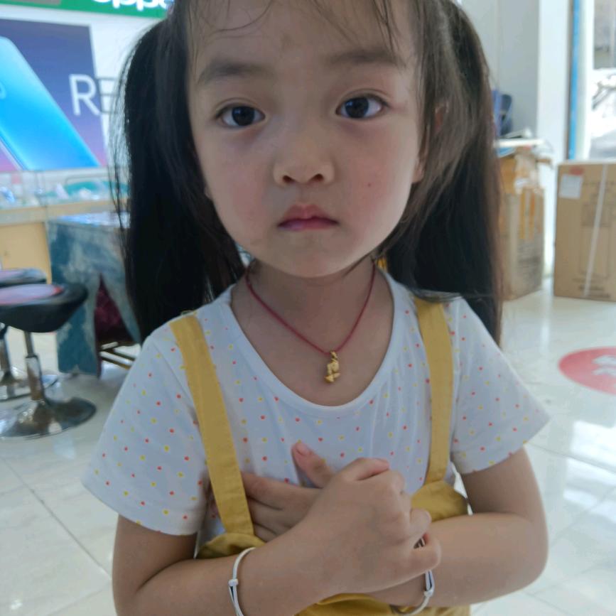 翟