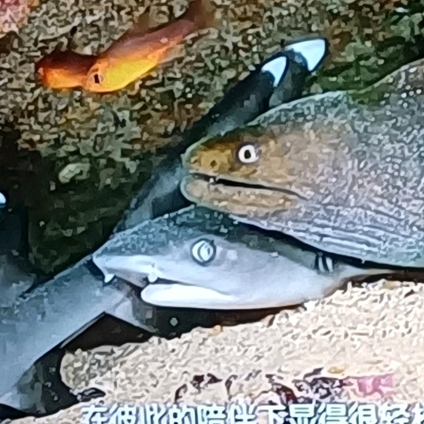 云儿😏