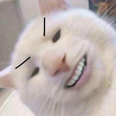 痴货
