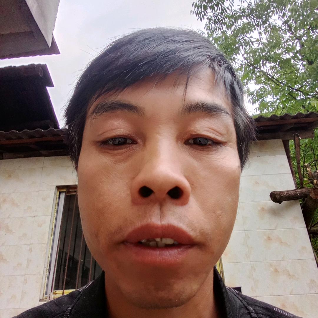 一生只爱你