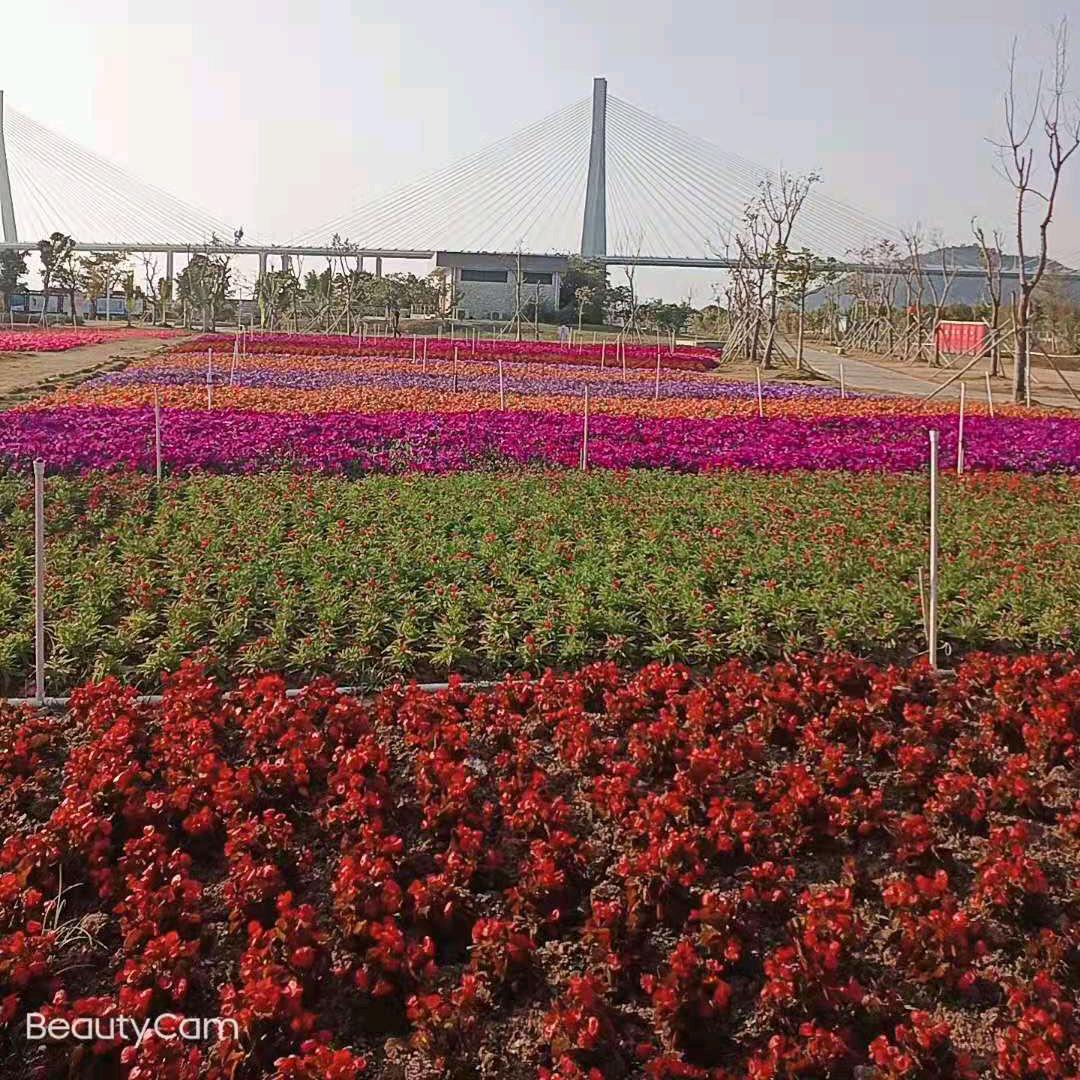 70后刘姐