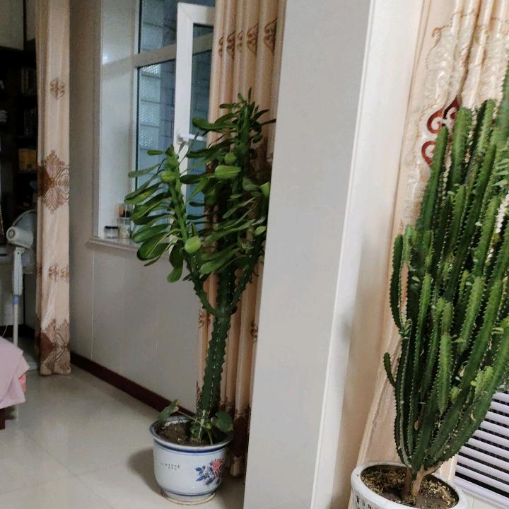 蓝天白云