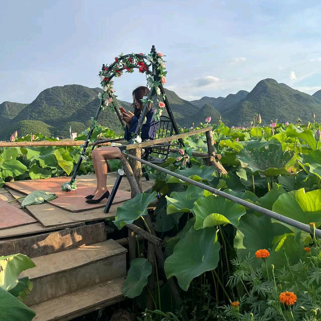 馨菲月花坊