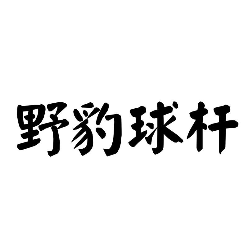 野豹台球杆器材店