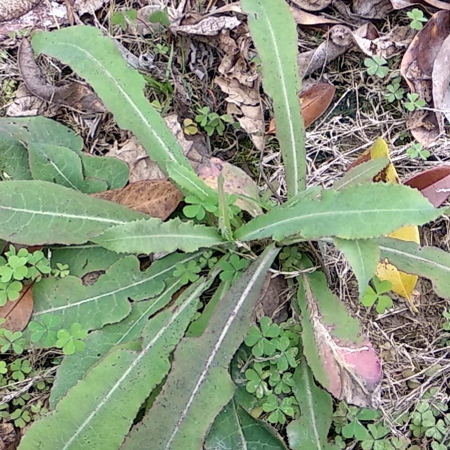 人身何处无芳草