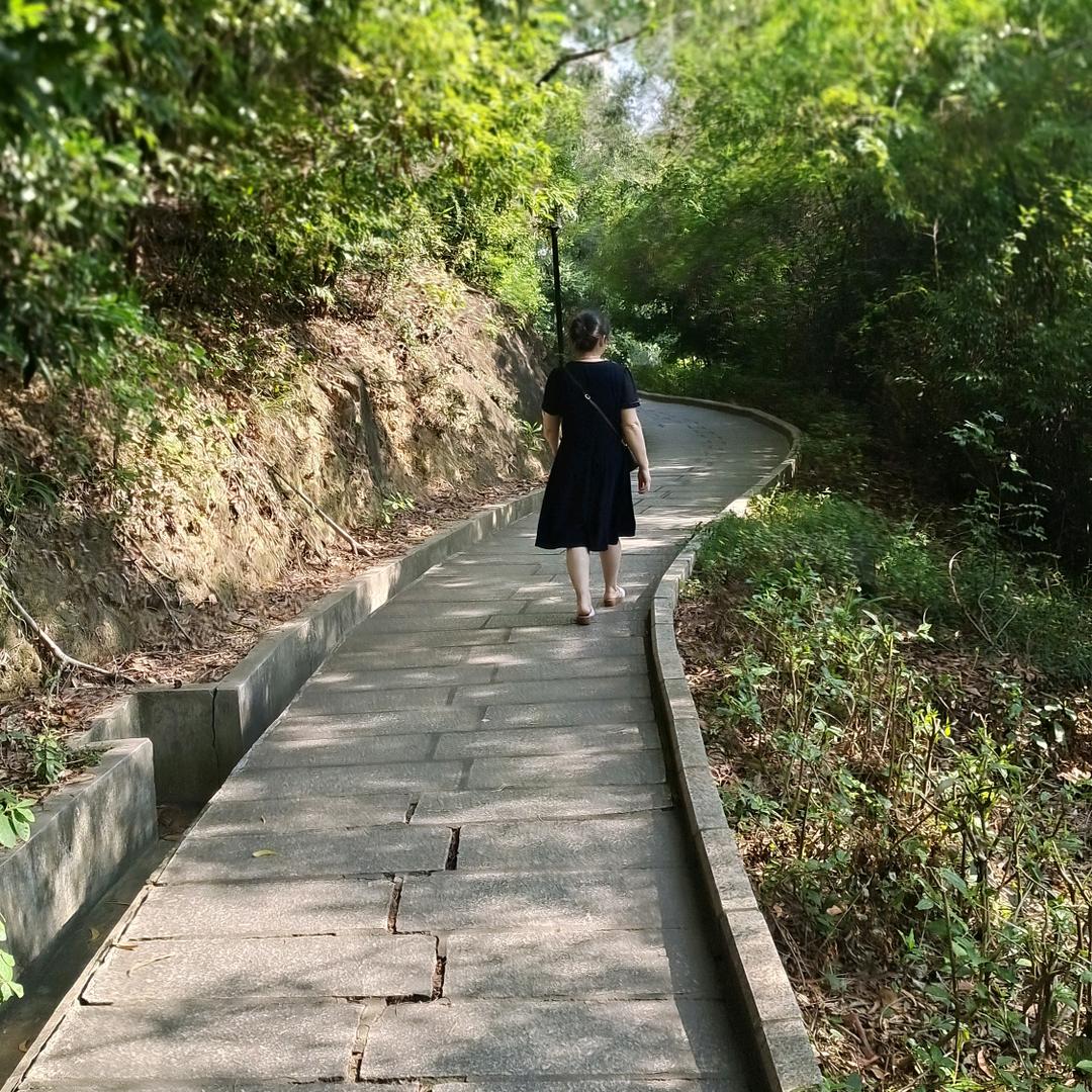 叶子