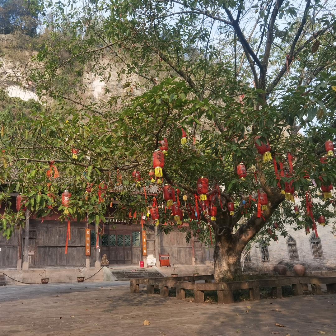 小张哥哥哥