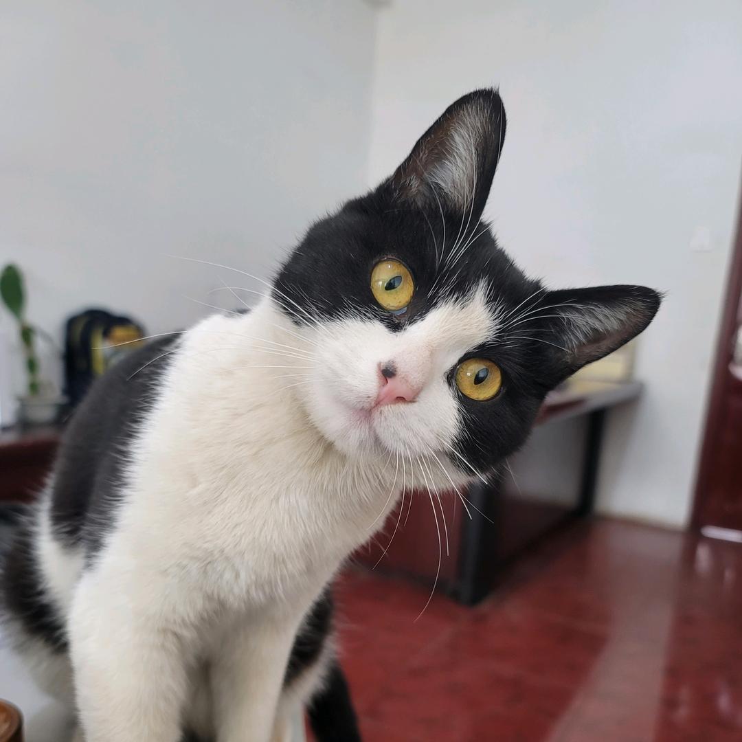 我控几不住我寄几