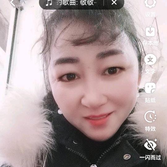 星辰花🌹🌹🌹🐅