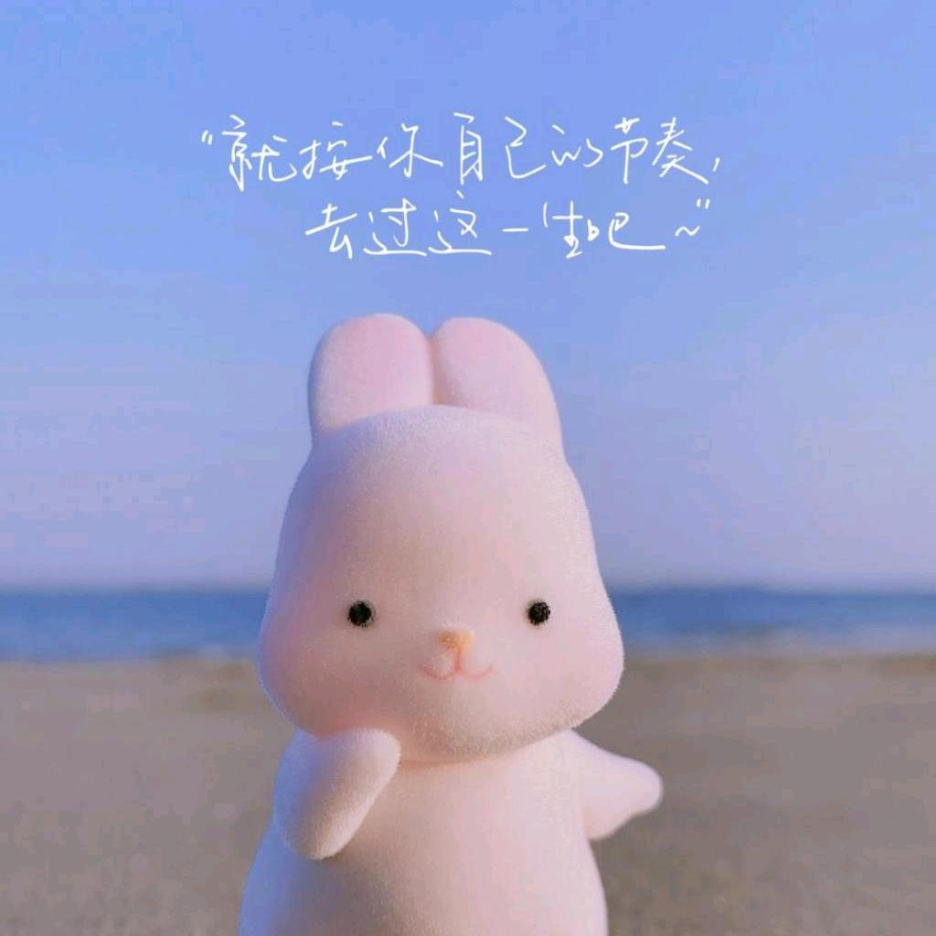 独角兽小仙女