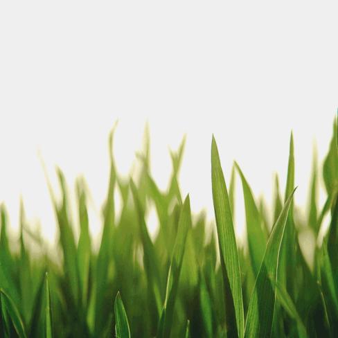 莞产品质轻奢男鞋