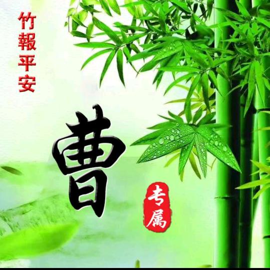 探花🐭