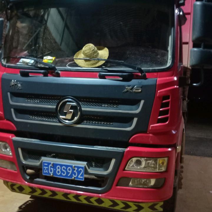 大黑杨